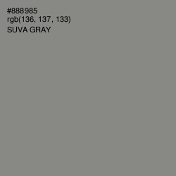 #888985 - Suva Gray Color Image
